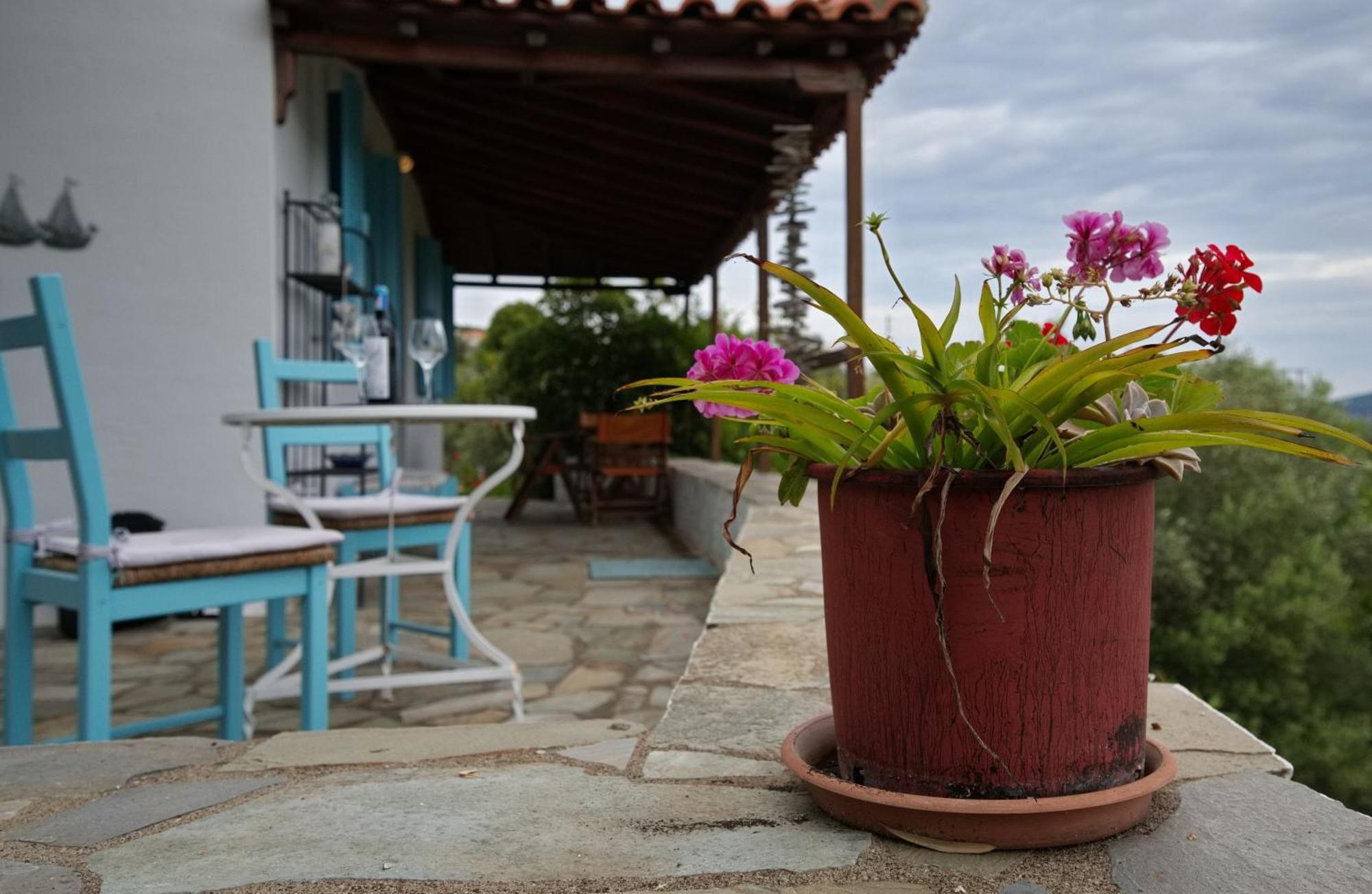 Steni Vala Alonissos Limani Cottage מראה חיצוני תמונה